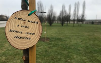 Un’idea regalo green e originale per la nascita di un bimbo? Un albero