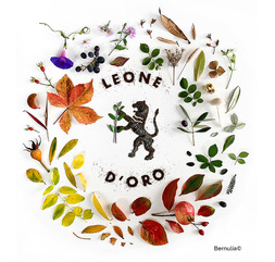 leone d'oro international